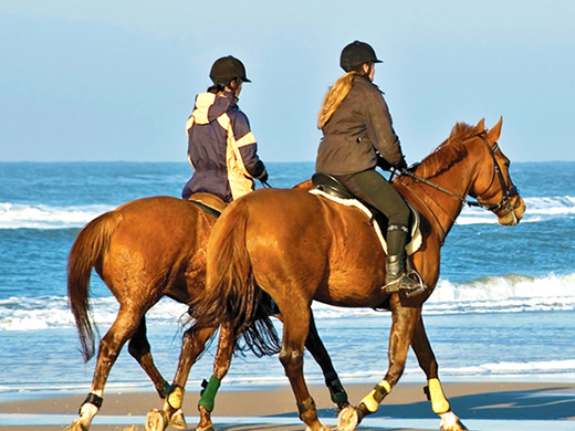 Horse Riding